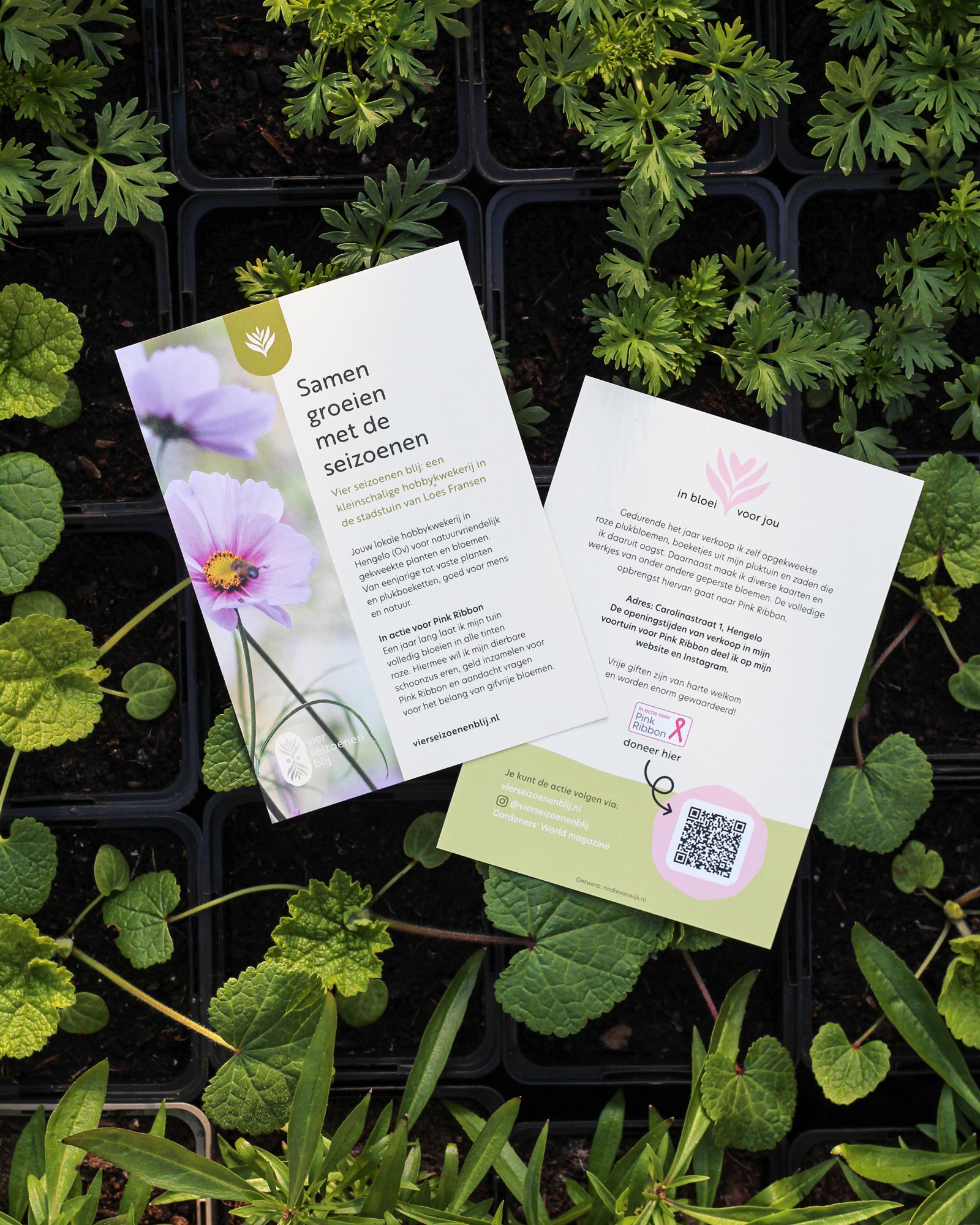 Grafisch ontwerp van een flyer voor Vier seizoenen blij